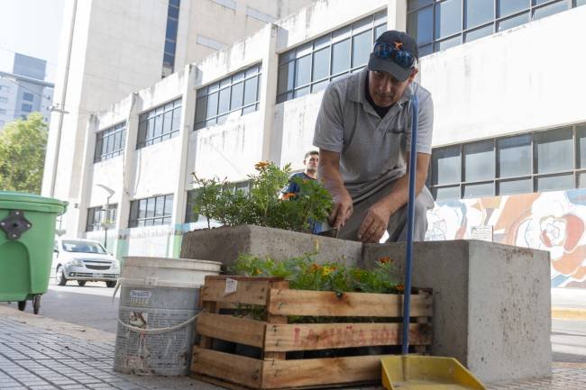 Plantines realizados por presos embellecen el centro de Rio Cuarto