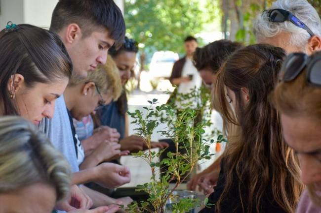 Se realizó un encuentro especial de organizaciones que se dedican a reforestar bosques de altura