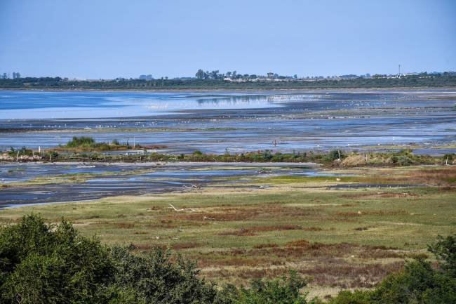 Habilitaron el Pulmón Verde Bahía de Ansenuza