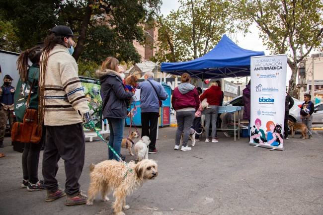 Las mascotas tendrán un festival con interesantes propuestas