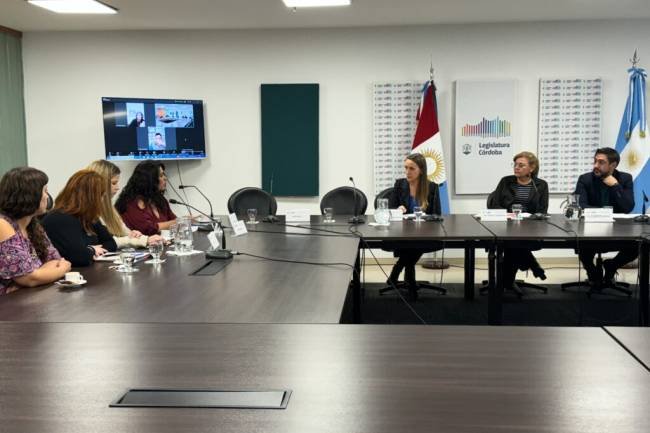 La Legislatura trató  un proyecto para concientizar sobre la violencia sexual en la infancia y la adolescencia