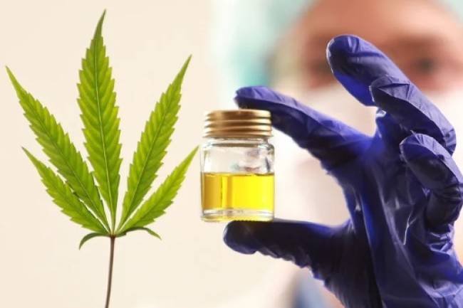 Salud avanza en el reordenamiento del Registro del Programa Nacional de Cannabis Medicinal