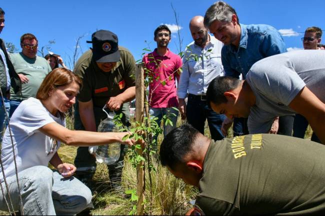 Impulsan un programa de  forestación del Camino Real