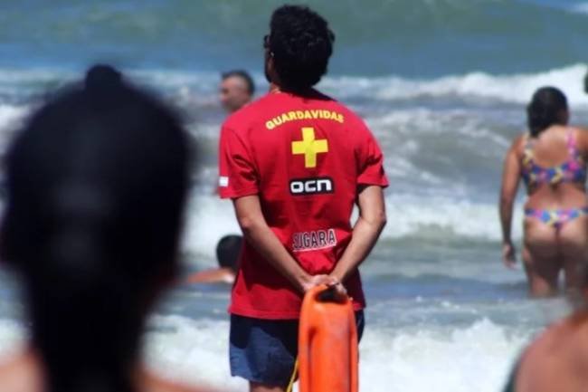 Cuál es el significado de una bandera celeste en la playa: qué hacer si se ve una