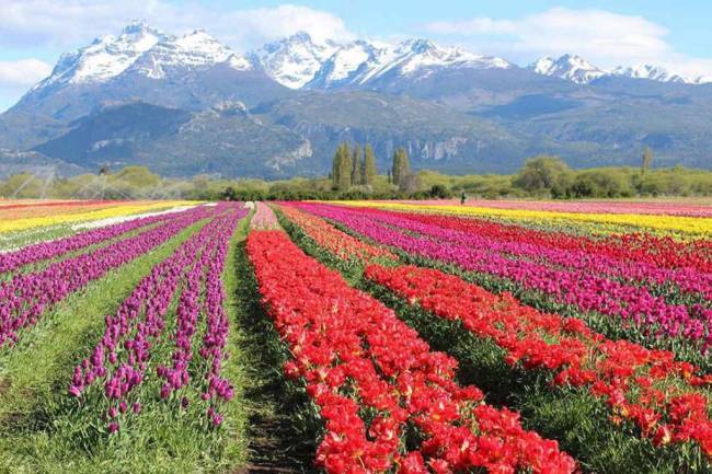 Argentina reconocida como un modelo a seguir por la ONU Turismo