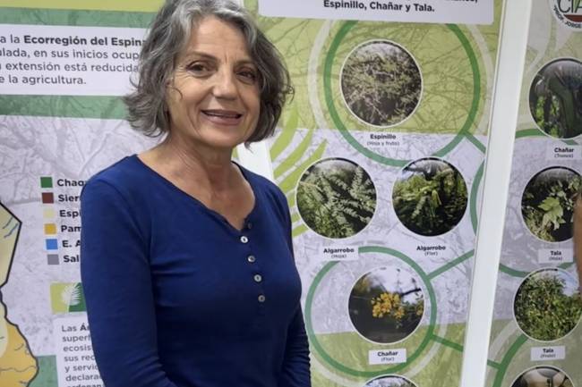 Una bióloga bellvillense fue reconocida con el “Nobel” del medio ambiente