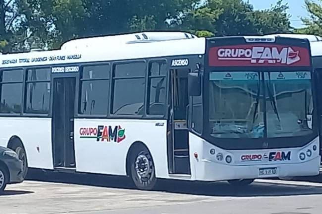 A partir de lunes, Grupo FAM tendrá nuevas líneas de transporte