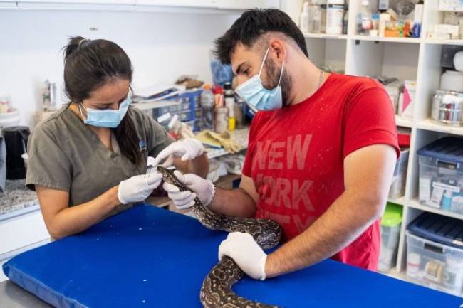 Fortalecen la labor del Centro de Rescate del Parque de la Biodiversidad