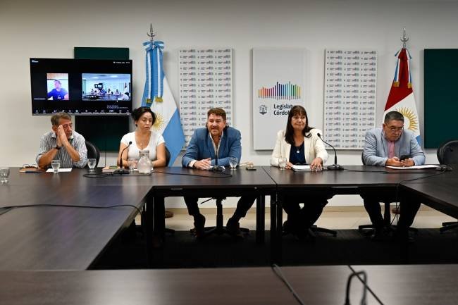 La Legislatura quiere suspender hasta 2026 la subasta de propiedades de clubes y asociaciones civiles