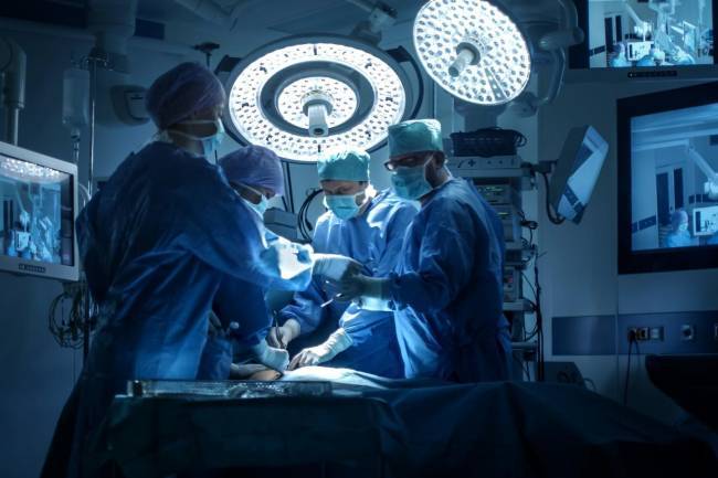 Transplantaron un  hígado de cerdo a una persona con muerte cerebral