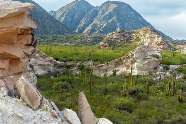 La Quebrada de La Cébila: El corredor natural que enamora