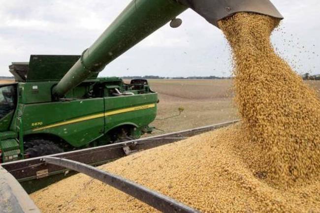La presión impositiva en la renta agrícola registró una caída al menor nivel en cinco años