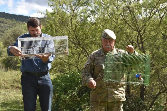 En La Calera, realizaron una jornada de liberación de animales silvestres