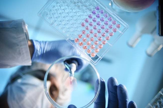 Una nueva esperanza contra las metástasis: Crean moléculas que destruyen células cancerosas resistentes