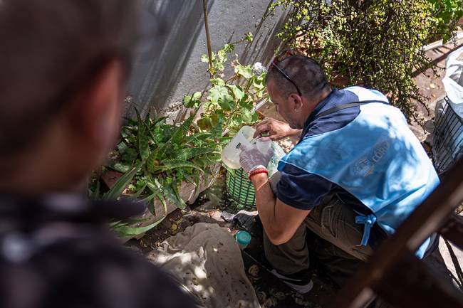 Dengue: Córdoba reduce un 97% los casos y fortalece su plan integral de prevención