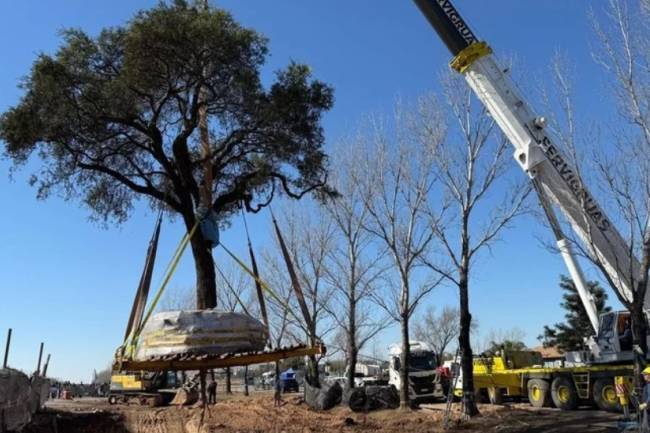 Villa Allende: Tras la polémica y los enfrentamientos, trasladaron el árbol quebracho
