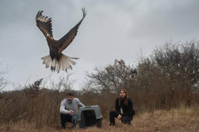 La naturaleza celebra: Liberan animales silvestres rehabilitados en el departamento Santa María