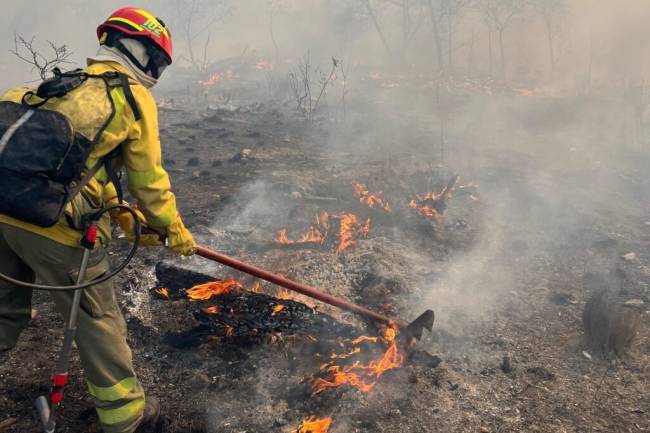 Combaten un incendio forestal en Pampa Alta con amplio despliegue de bomberos y aviones hidrantes
