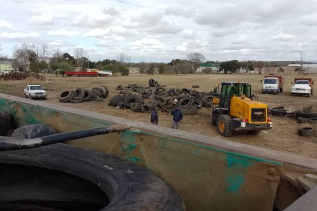 Sinsacate limpia predios y recicla 60 toneladas de neumáticos