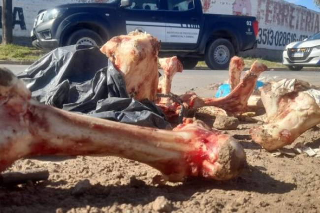 Vecinos alertaron al IPA y la Municipalidad clausuró un frigorífico por contaminación