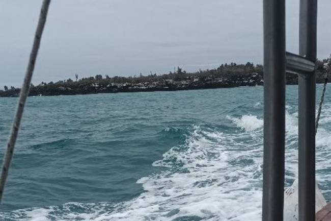 Islas Galápagos, maravilla de la humanidad