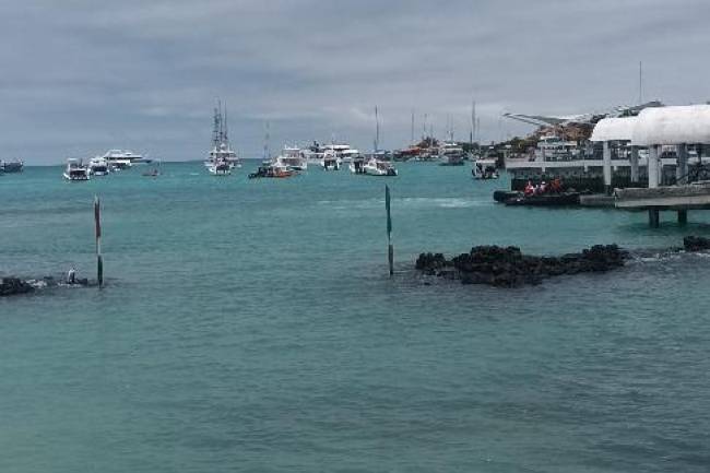 Galápagos, la tierra de Darwin