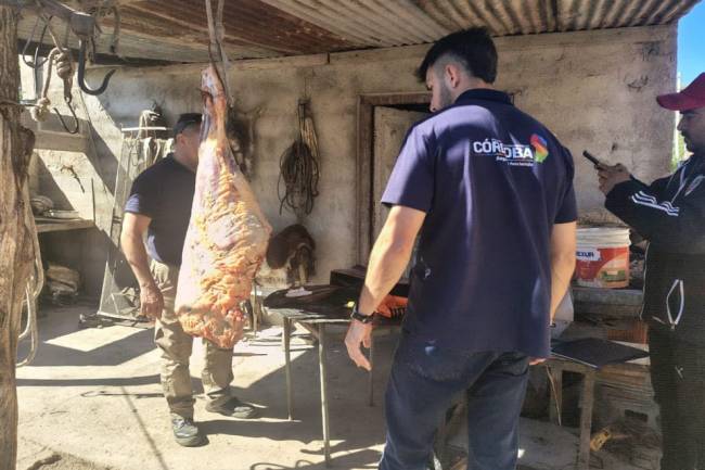 Golpe al faenamiento ilegal en Malagueño