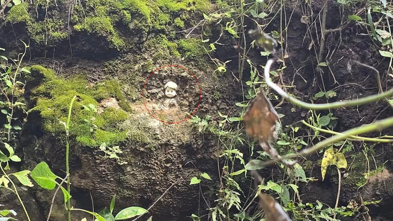 Un fenómeno que no presenta líneas antropológicas en Honduras