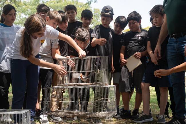Nueva vida para 37 animales rescatados en El Arañado