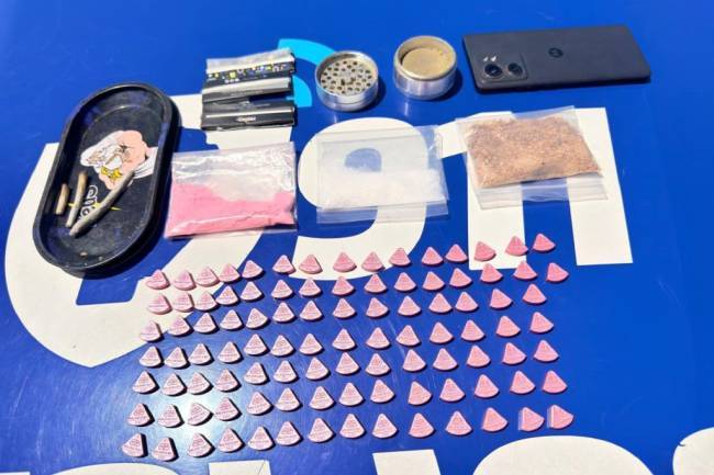 Caminera frenó más de $1.192 millones en drogas en lo que va del año