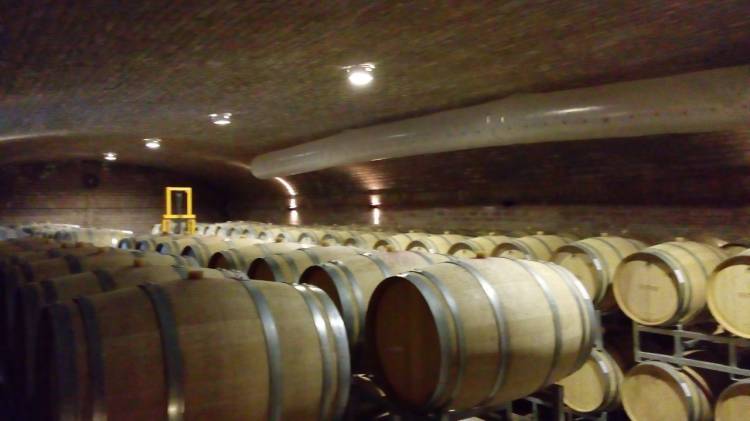 ¿Qué son los vinos "Boutique" o "Premium" y por qué la gente los busca tanto?