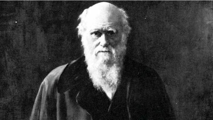 Ya lo decía Darwin: "En Argentina todo funcionario público es sobornable"