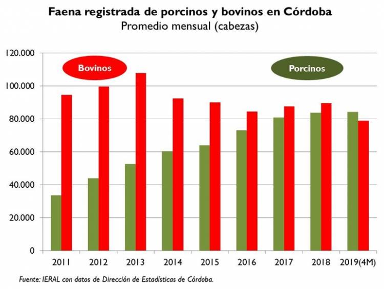Por primera vez en Córdoba se faenan más cerdos que vacas 