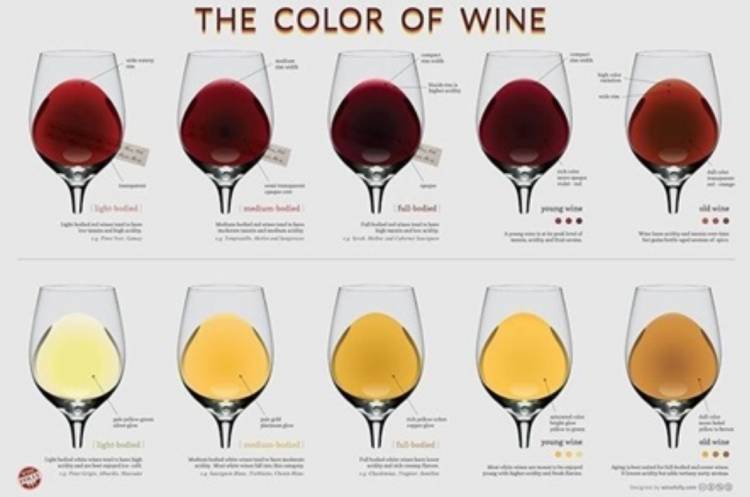 ¿Cuál es el color del vino?