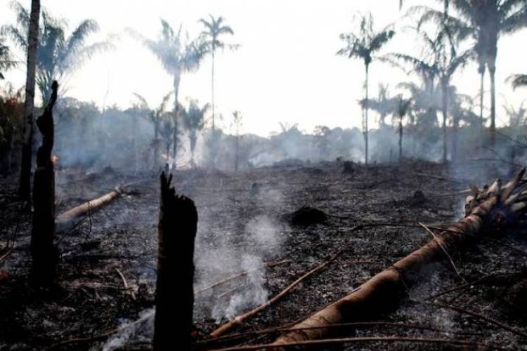 Todos por Amazonas