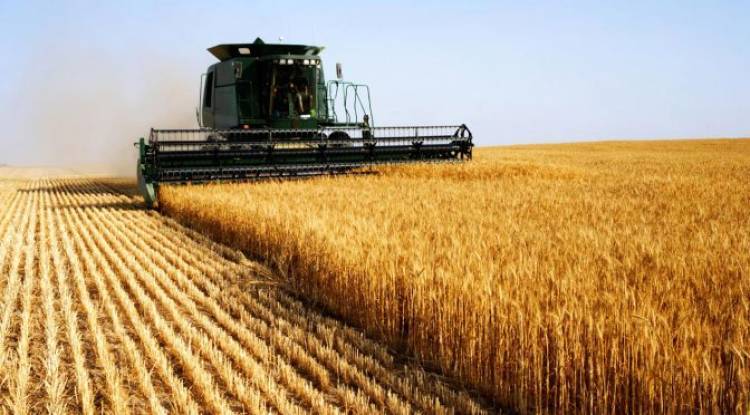 Volvió el pesimismo entre los productores agropecuarios