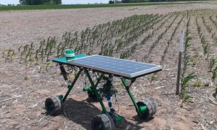 Robot quita malezas con rayo láser y funciona con luz solar