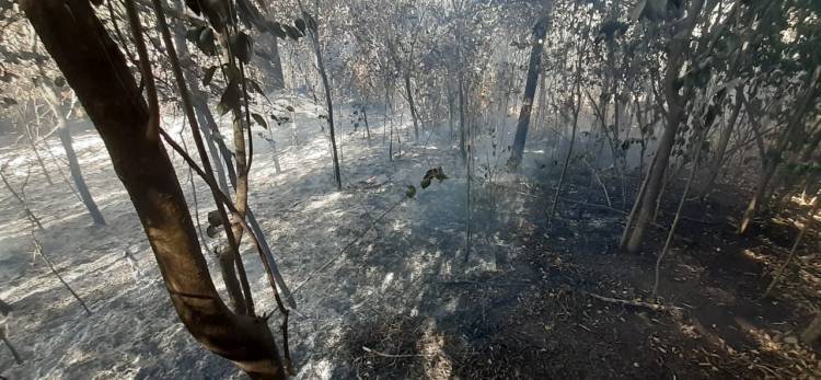 Incendio en Unquillo alarmó a los vecinos