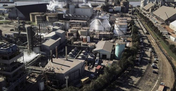 Duras criticas por el anuncio de expropiación de la compañía cerealera Vicentín