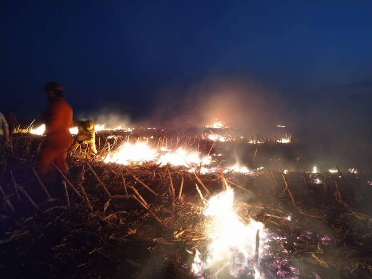 Jornadas de Incendios en el centro y sur de la Provincia.