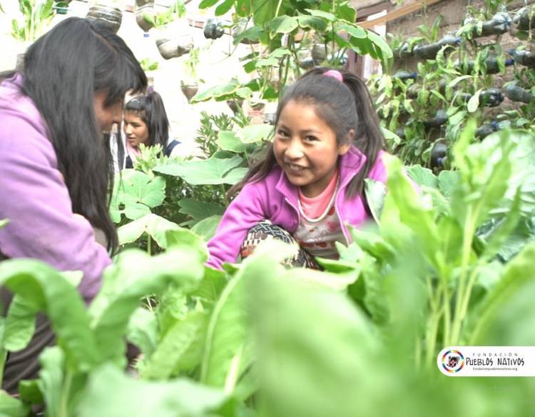 Fundación Pueblos Nativos: organización villamariense que trabaja en el norte del país