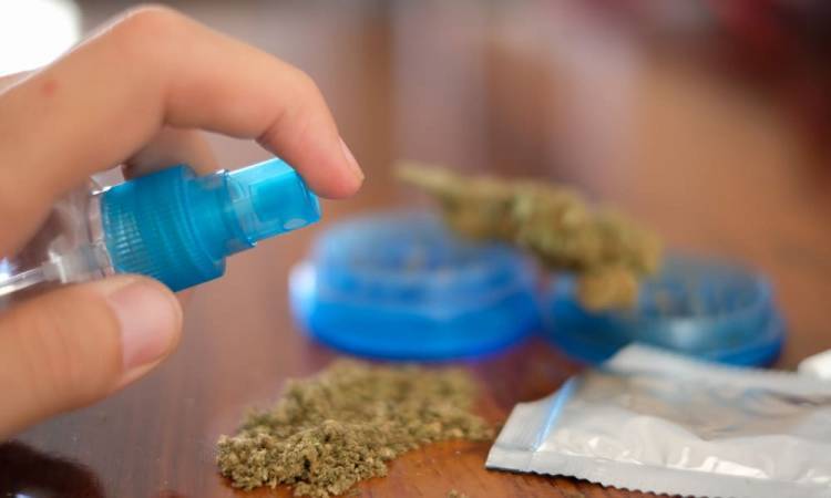 Alarmante avance del consumo de "marihuana sintética" en Argentina