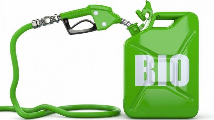 Biocombustibles: Impulsan Ley provincial 
