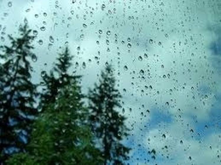 Llegó la lluvia!!! Gracias a todos ustedes que lo pidieron en las redes!!!