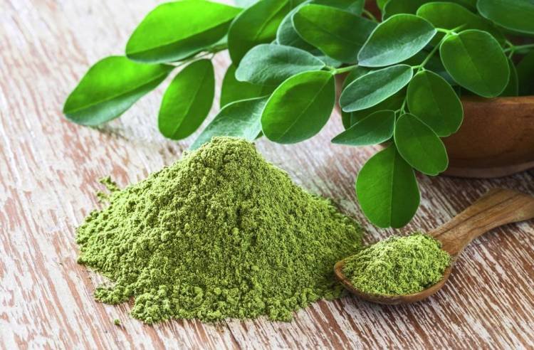 La Moringa: la hierba con múltiples beneficios para la salud