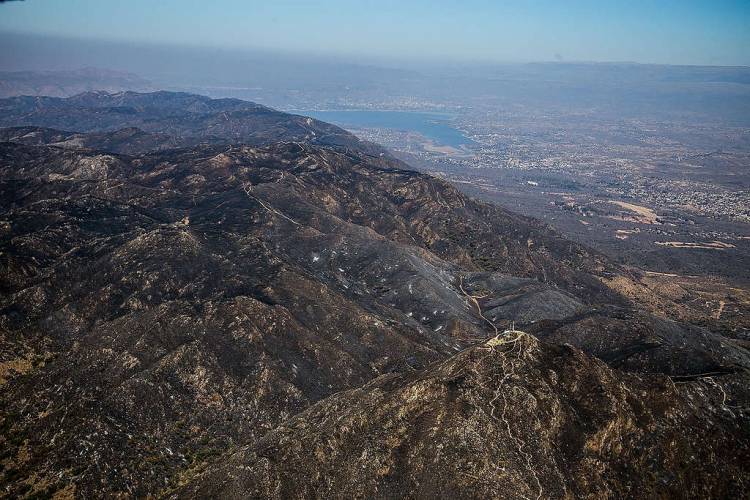 Incendios: Dentro de 6 meses se podría empezar a reforestar las zonas afectadas