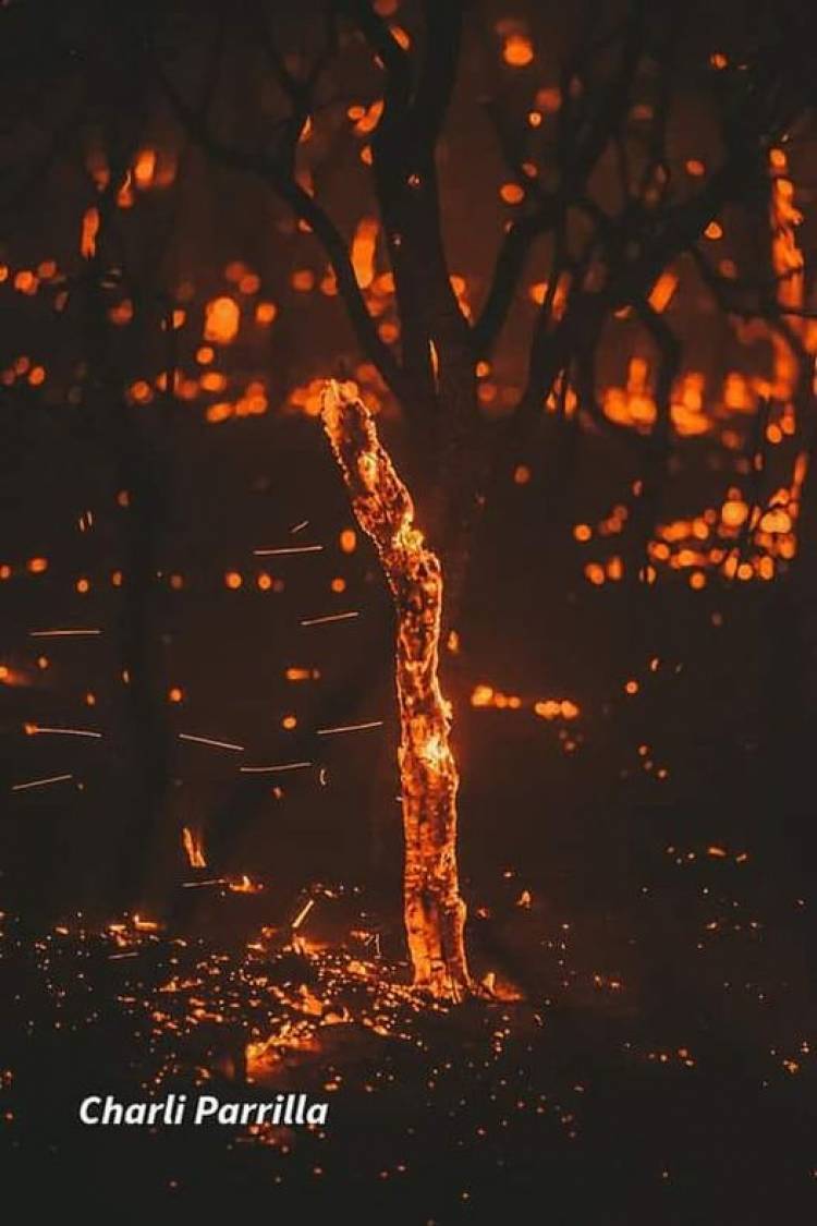 Capilla del Monte: "Esa tormenta santa que fuera enviada para frenar semejante desastre"