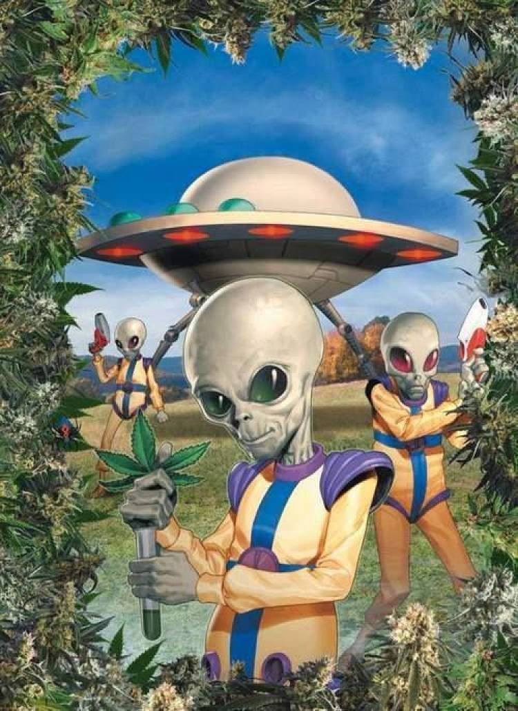 Capilla del Monte: Una verdadera “Invasión de Otro Mundo” pero no de extraterrestres, sino del mundo de la droga