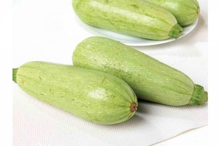 El Zucchini: una verdura con múltiples cualidades