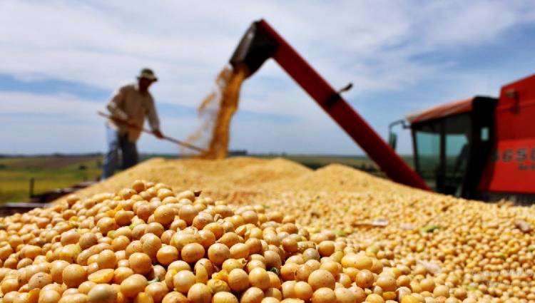 Por la producción de granos Córdoba registrará un aumento de 20% en sus ingresos